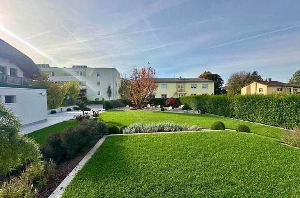 Haus mit Garten kaufen in 4470 Enns (Bild 2)