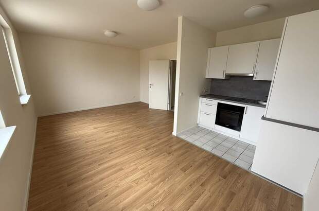 Wohnung mieten in 2544 Leobersdorf (Bild 3)
