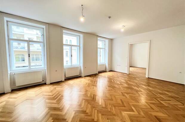 Wohnung mieten in 1010 Wien (Bild 3)