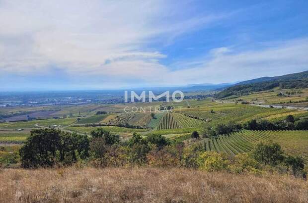 Grundstück kaufen in 2352 Gumpoldskirchen