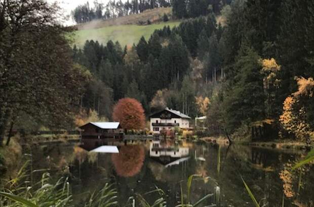 Altbauwohnung mit Balkon kaufen in 6071 Aldrans (Bild 3)