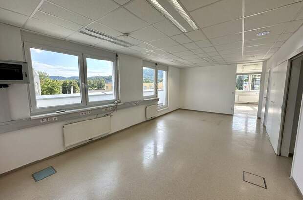 Gewerbeobjekt mieten in 8054 Graz (Bild 3)
