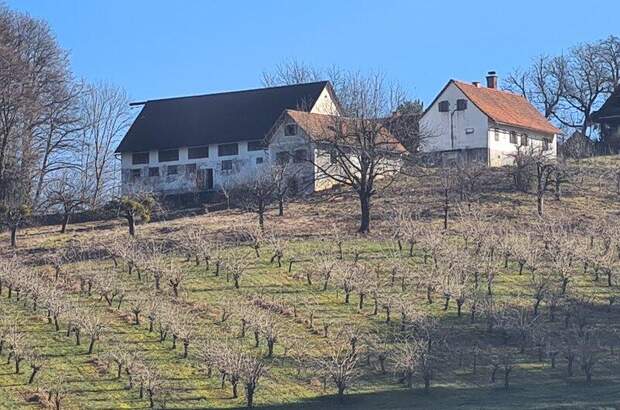 Bauernhaus kaufen in 8093 Sankt Peter (Bild 1)