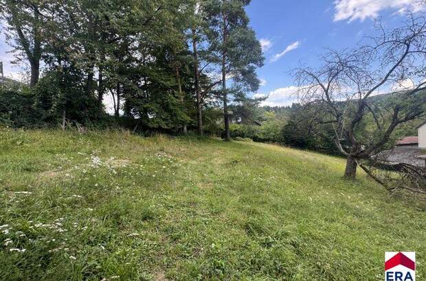 Grundstück kaufen in 3413 Hintersdorf (Bild 2)