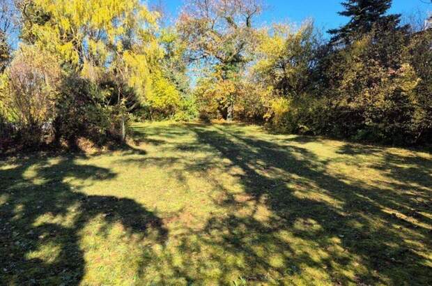 Grundstück kaufen in 2102 Klein (Bild 2)