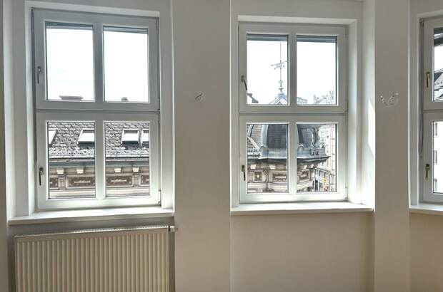 Gewerbeobjekt mieten in 4020 Linz (Bild 3)