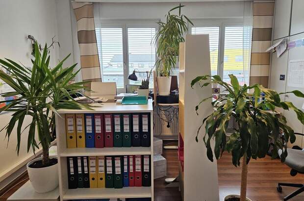 Gewerbeobjekt mieten in 8073 Feldkirchen (Bild 4)