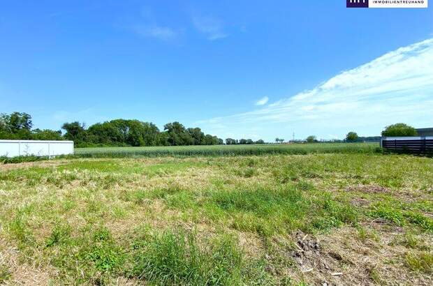 Grundstück kaufen in 2441 Mitterndorf (Bild 3)