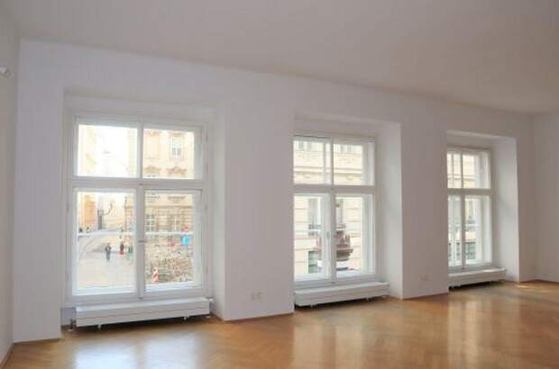 Gewerbeobjekt mieten in 1010 Wien (Bild 2)