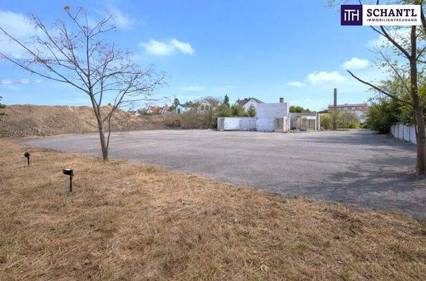 Grundstück kaufen in 2542 Kottingbrunn (Bild 3)