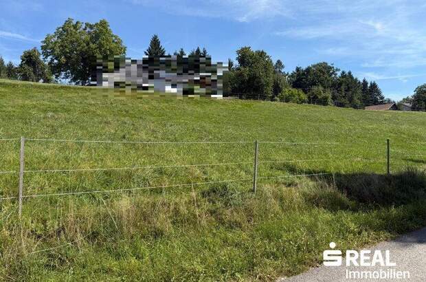 Grundstück kaufen in 4943 Geinberg (Bild 3)