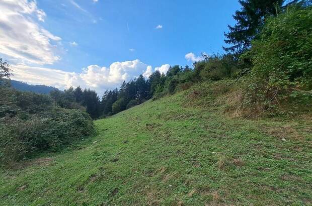 Gewerbeobjekt kaufen in 8573 Hemmerberg (Bild 3)