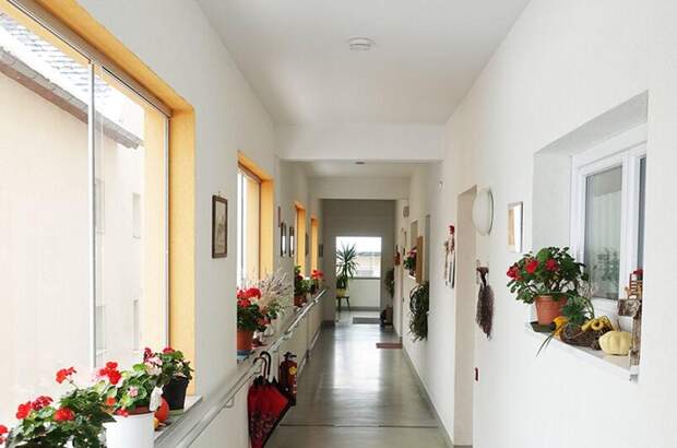Wohnung mit Balkon mieten in 4211 Alberndorf (Bild 5)
