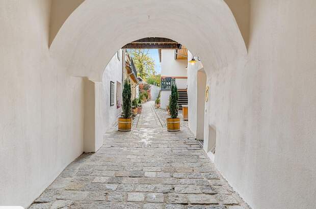 Altbauwohnung kaufen in 1190 Wien (Bild 2)