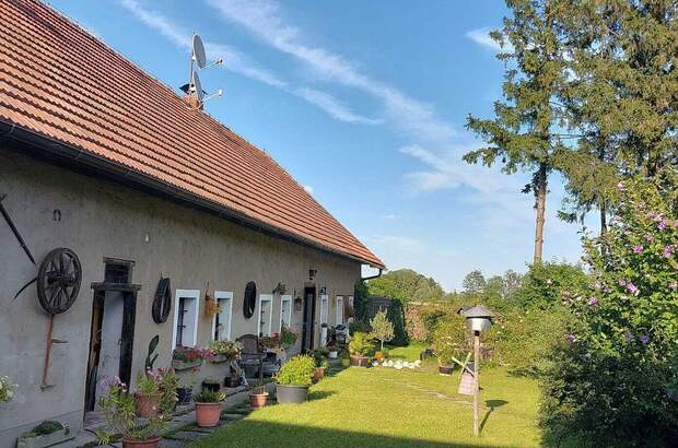 Gewerbeobjekt kaufen in 4600 Wels (Bild 1)