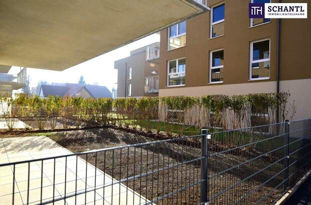 Terrassenwohnung kaufen in 8401 Kalsdorf (Bild 2)