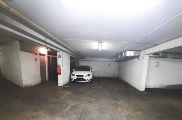 Halle / Lager / Produktion mieten in 1220 Wien (Bild 2)