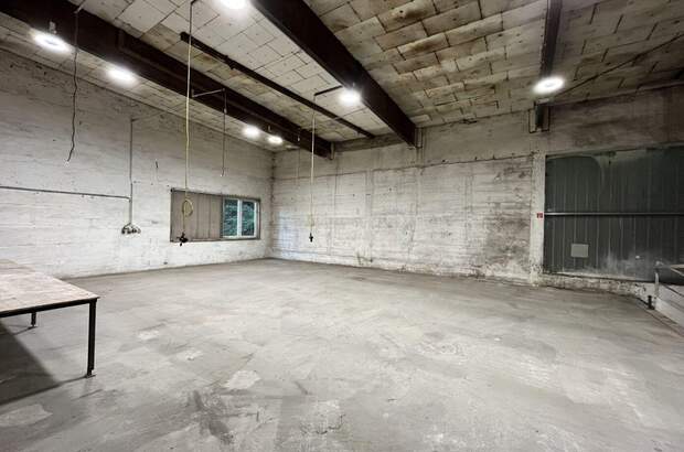 Gewerbeobjekt mieten in 4600 Thalheim (Bild 5)