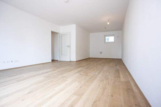 Terrassenwohnung kaufen in 2700 Wr. Neustadt (Bild 5)