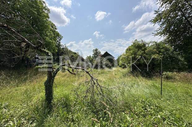 Grundstück kaufen in 6832 Sulz (Bild 2)