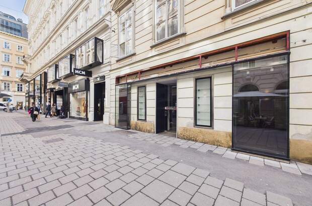 Gewerbeobjekt mieten in 1010 Wien (Bild 1)