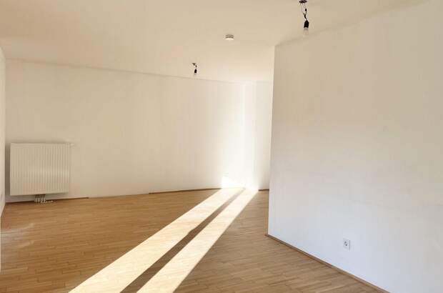 Wohnung kaufen in 1230 Wien (Bild 3)