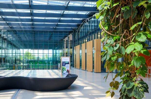 Lager mieten in 1200 Wien (Bild 3)