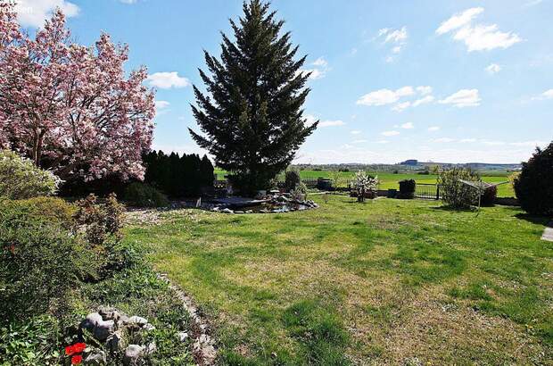 Haus kaufen in 7321 Lackendorf (Bild 4)