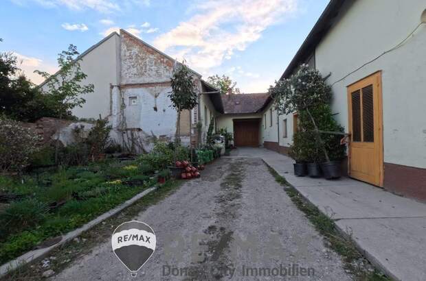 Grundstück kaufen in 2482 Münchendorf (Bild 5)