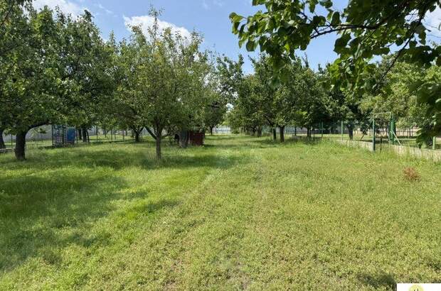 Grundstück kaufen in 2421 Kittsee (Bild 2)