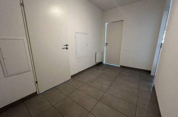 Terrassenwohnung mieten in 2104 Spillern (Bild 2)