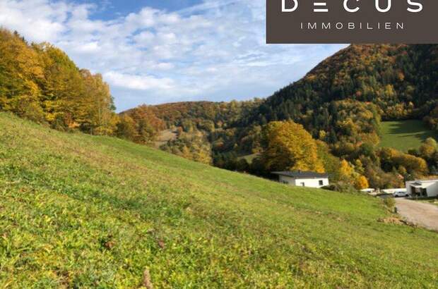 Grundstück kaufen in 3211 Loich (Bild 3)