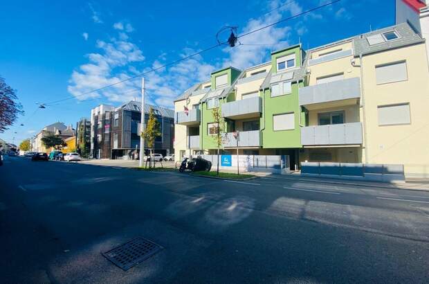Terrassenwohnung mieten in 1230 Wien (Bild 2)