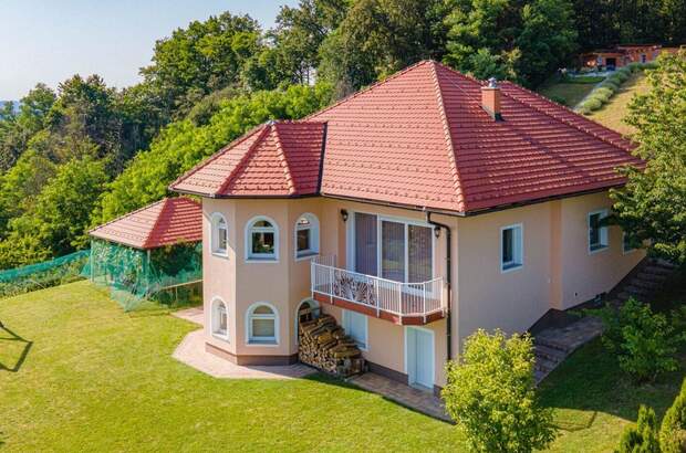 Haus mit Garten kaufen in 2250 Ptuj (Bild 3)