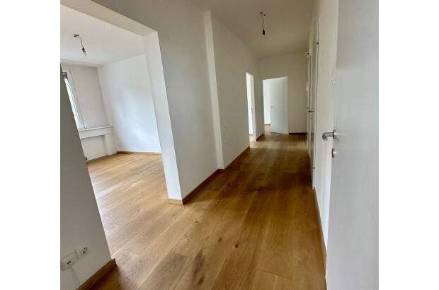 Terrassenwohnung kaufen in 2540 Bad Vöslau (Bild 3)