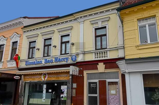 Anlageobjekt kaufen in 2700 Wr.Neustadt (Bild 1)