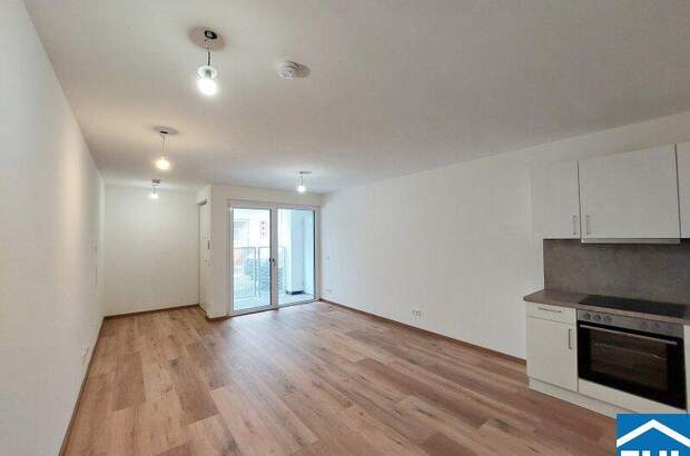 Terrassenwohnung mieten in 1110 Wien (Bild 1)