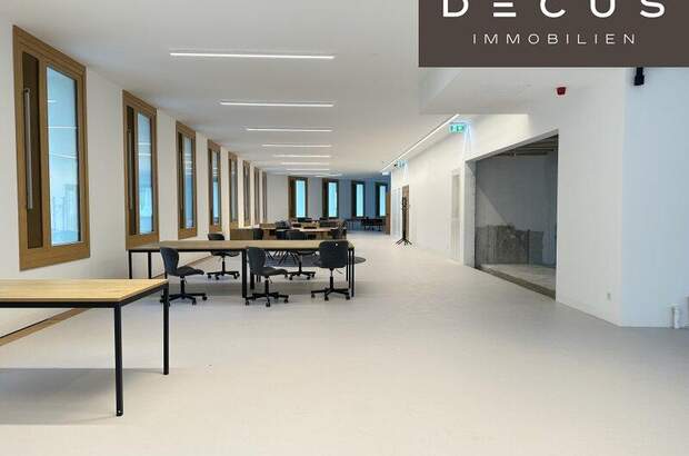 Büro / Praxis mieten in 1220 Wien (Bild 4)