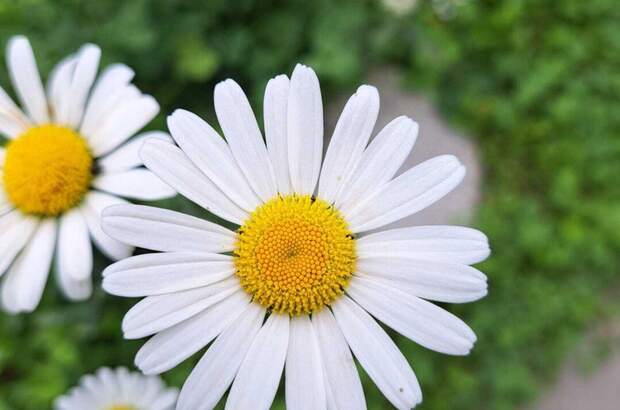 Mietwohnung in 8403 Lebring