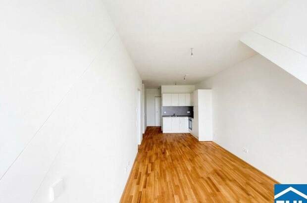Terrassenwohnung mieten in 1110 Wien (Bild 2)