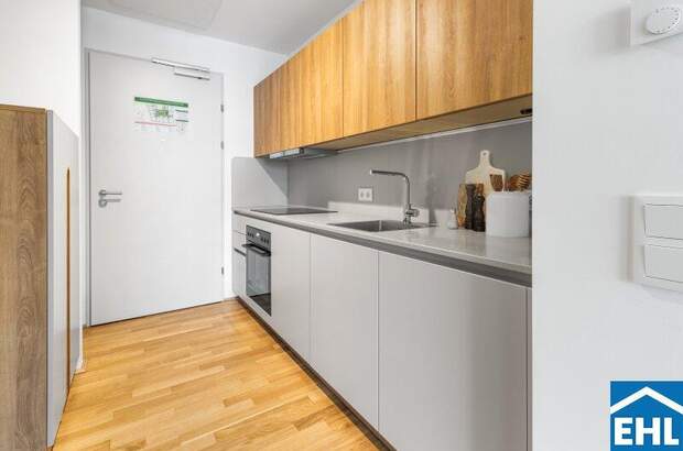 Terrassenwohnung mieten in 1200 Wien (Bild 2)