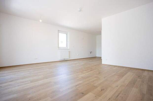 Terrassenwohnung kaufen in 2700 Wr. Neustadt (Bild 4)