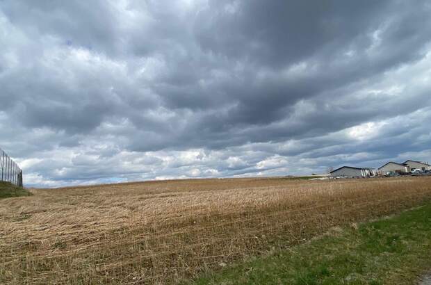 Gewerbeobjekt kaufen in 3613 Els (Bild 3)