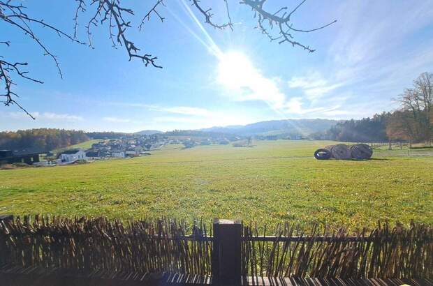 Haus mit Garten kaufen in 8160 Weiz (Bild 3)