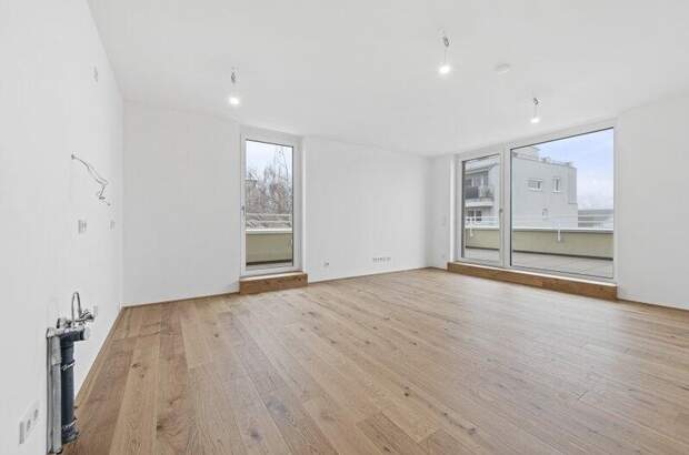 Terrassenwohnung kaufen in 2540 Bad Vöslau (Bild 2)