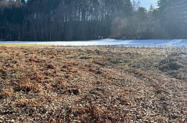 Grundstück kaufen in 9220 Schiefling (Bild 4)