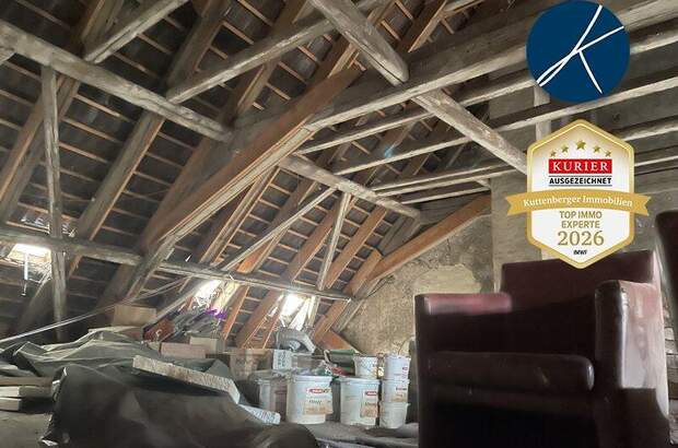 Wohnanlage kaufen in 2700 Wr. Neustadt (Bild 1)