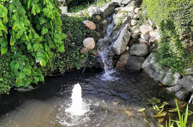 Einfamilienhaus kaufen in 3390 Melk (Bild 5)