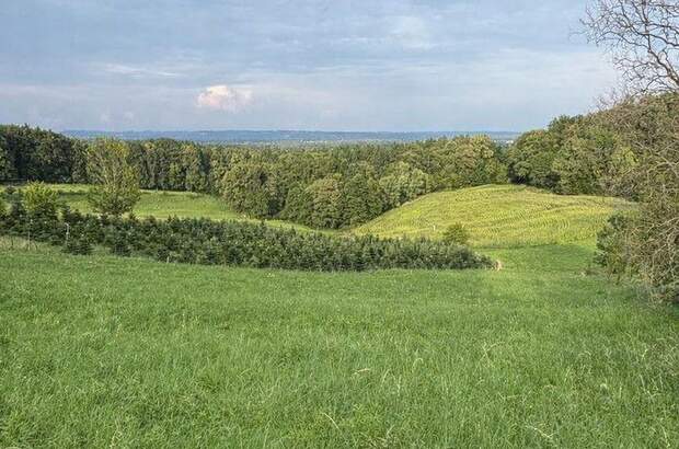 Grundstück kaufen in 8434 Maxlon (Bild 1)