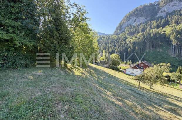 Grundstück kaufen in 6840 Götzis (Bild 5)